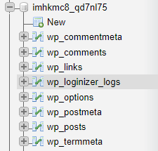 phpMyAdminloginizer_logs.png