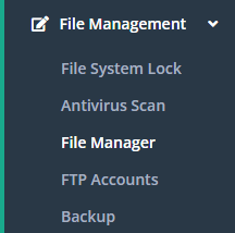 CWPFileManager.png