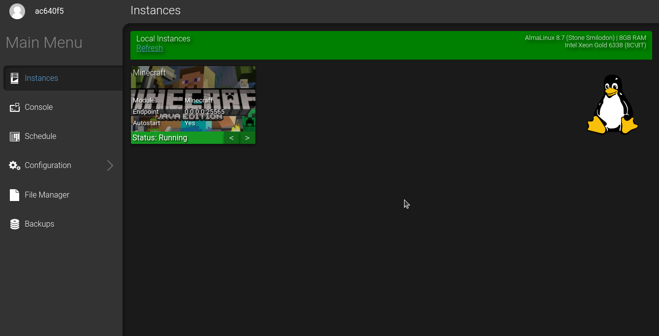 MinecraftInstances.png