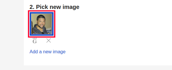 user-profile-options-select-gravatar.png